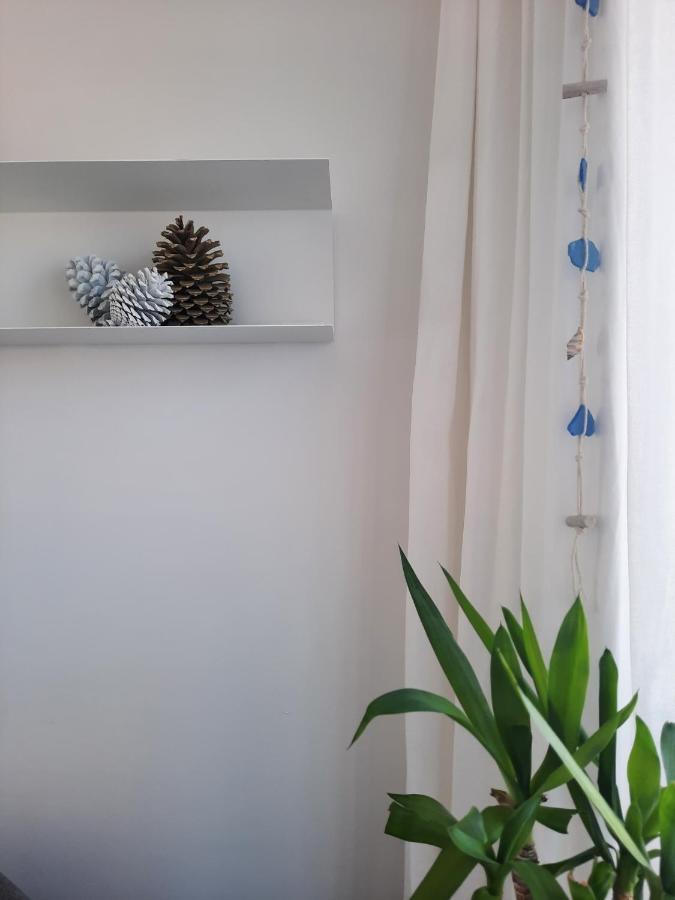 Sitius 5B - New Seaview Apartment With Rooftop Terrace In Historical Centre Sitio Da Назаре Екстер'єр фото