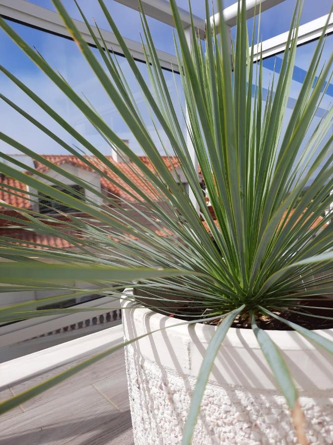 Sitius 5B - New Seaview Apartment With Rooftop Terrace In Historical Centre Sitio Da Назаре Екстер'єр фото